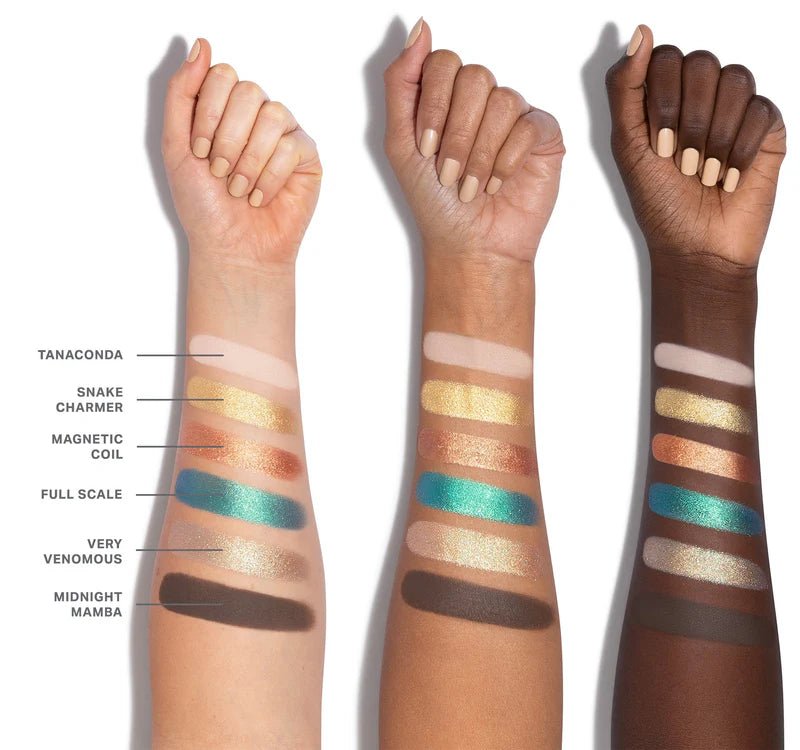 ChromaPlus 6 - Pan Eyeshadow Palette - BELLA NOVA BEAUTY (PTY) LTDEyeshadow PalletteMorpheBELLA NOVA BEAUTY (PTY) LTD
